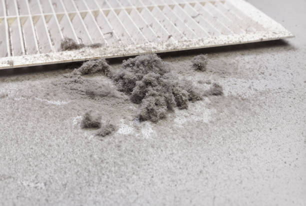 Best Air Duct Cleaning Near Me  in Schertz, TX