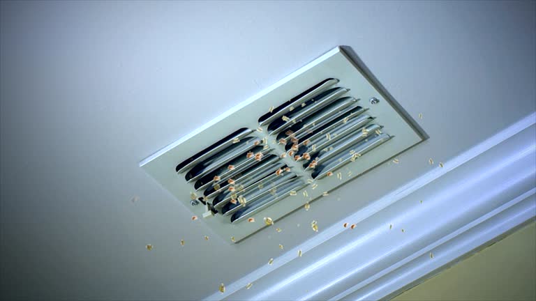 Best Commercial HVAC Duct Cleaning  in Schertz, TX