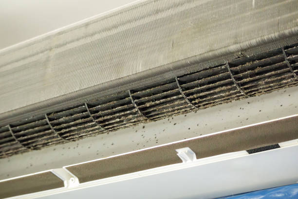 Best Affordable Air Duct Cleaning  in Schertz, TX
